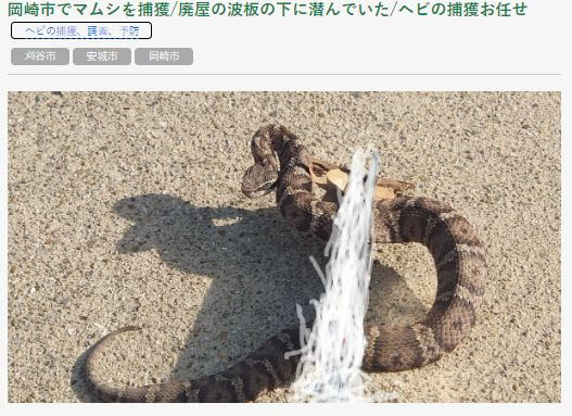 『ヘビが出た！』そんな時は、愛知県岡崎市の株式会社ＣＧＳ岡崎店にお電話ください。イメージ